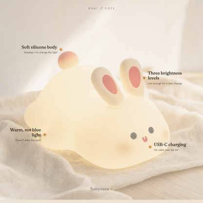 The Squish Light — how it works